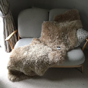 Deep Oyster cream curly Australian sheepskin rug, double length, neutral, stunning throw