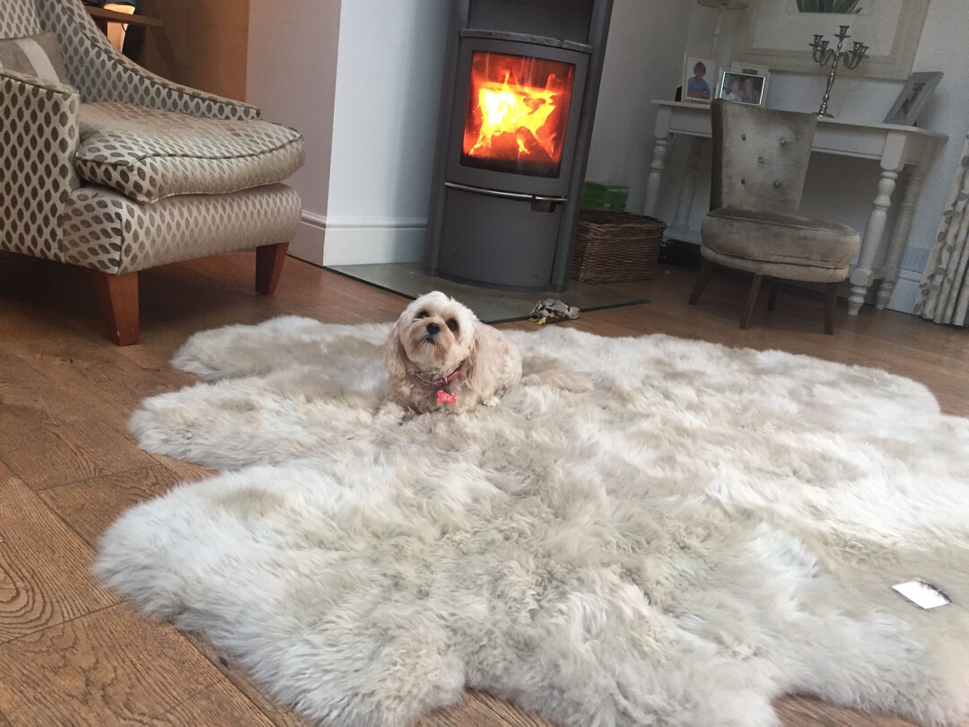 Large Oyster Sheepskin Rug , Six Skin Sheepskin Rug, Neutral Rug ...