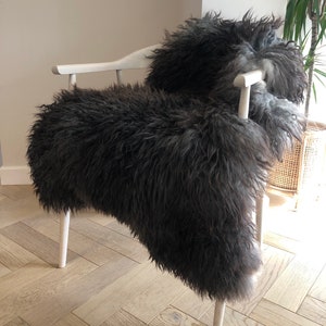 RARE Natural grey Brown gray Icelandic sheepskin rug. Completely undyed natural sheepskin, icelandic sheepskin interior