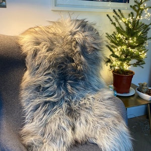 Natural Grey Icelandic Sheepskin