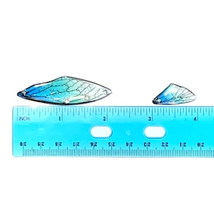 May include: Two blue and green iridescent fairy wings, one larger than the other, are placed on a blue ruler. The ruler is marked in inches and shows the larger wing is about 2 inches long.
