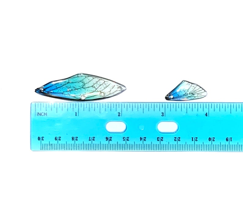 May include: Two blue and green iridescent fairy wings, one larger than the other, are placed on a blue ruler. The ruler is marked in inches and shows the larger wing is about 2 inches long.
