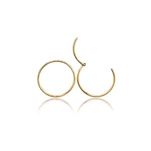 May include: A gold-colored, hinged hoop earring, partially open, against a white background. The earring is circular with a thin band. The open section reveals the hinge mechanism. The earring's reflection is visible below.