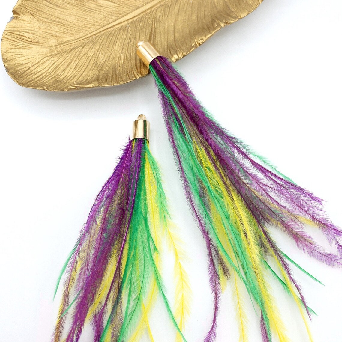 mardi gras feathers 24090625 PNG