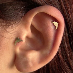 Gouden tragus, helix, gouden oorknopjes, kolibrie oorbellen, kraakbeenoorbel, 14 karaat massief goud, minimalistisch, vogel, neusstekker, oorpin
