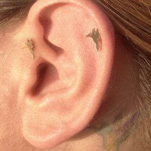 Tragus, Helix, Gold stud earrings, Hummingbird earrings, cartilage earring, 14 karat solid gold, Minimalist , bird, nose stud, ear pin