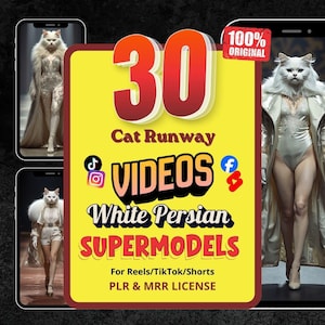 30 video di gatti AI in passerella / Gatto persiano bianco supermodello moda anni '80 / Licenza MRR e PLR
