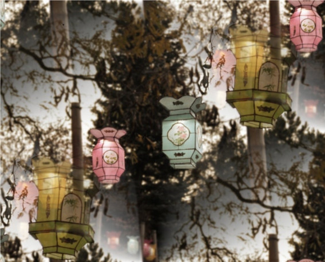 Chinese Lantern Photography Pastel Lantern Photo Chinese New Etsy