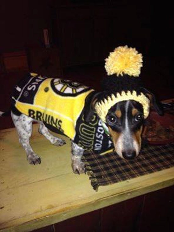 boston bruins dog jersey