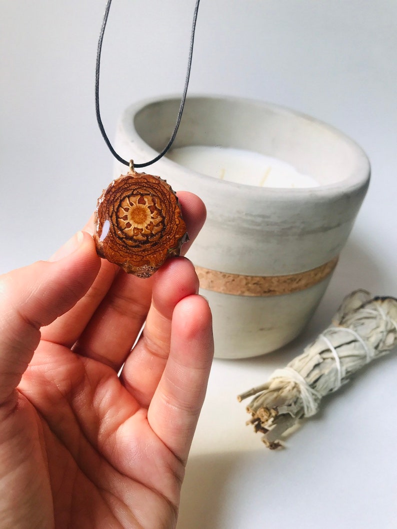 Kona Shell LOOK AT MYBACK! Pinecone Pendant