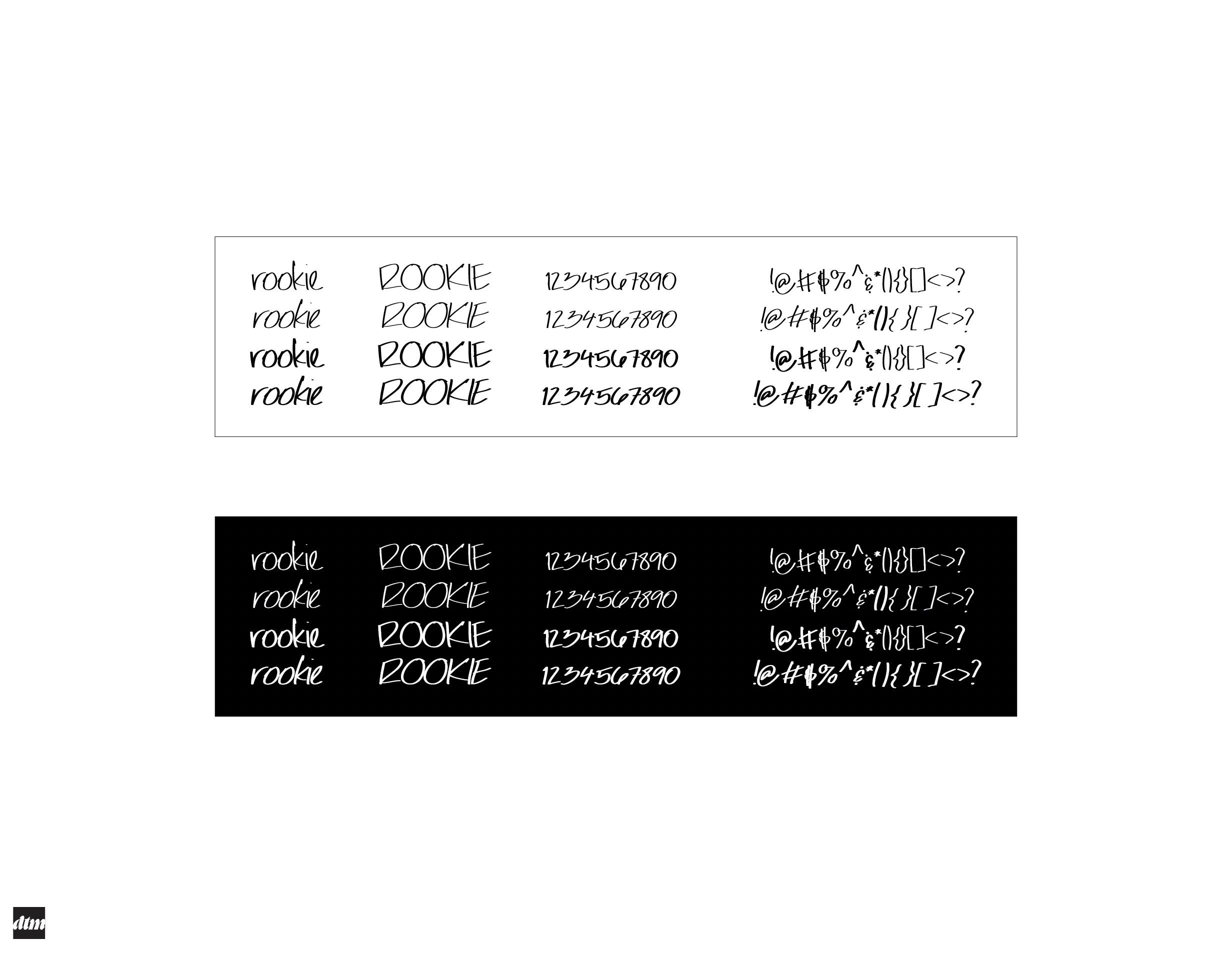 Rookie- A Complete Latin Character Font Set, Handwritten Type Font; OTF ...