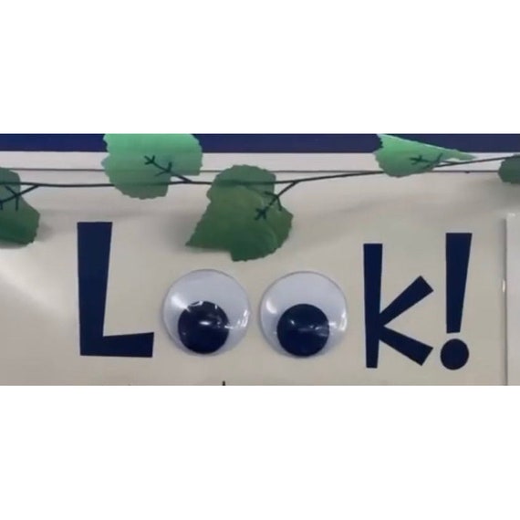 LOOK Board Decal With Giant Googly Eyes 