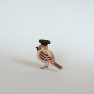 May include: A small, brown and white felt bird wearing a black felt graduation cap. The bird is standing on a white surface.