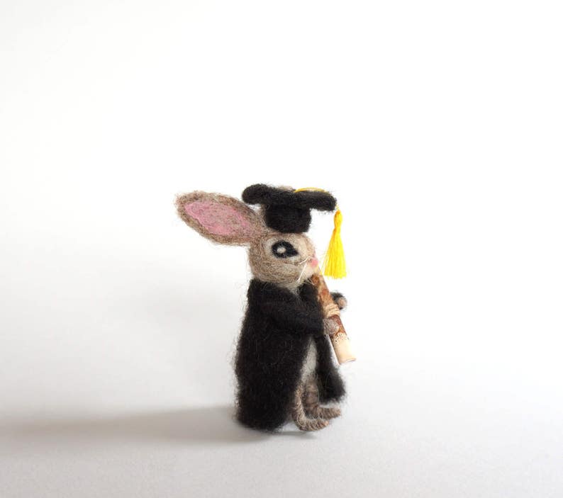 May include: A small, gray rabbit wearing a black graduation cap and gown, holding a scroll in its paws. The rabbit has a black nose and large, black eyes.