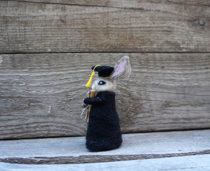 Graduation Bunny Gift - Needle Felted Rabbit with Diploma & Cap - Class of 2026 Scholar -Cake Topper -Keepsake image 10