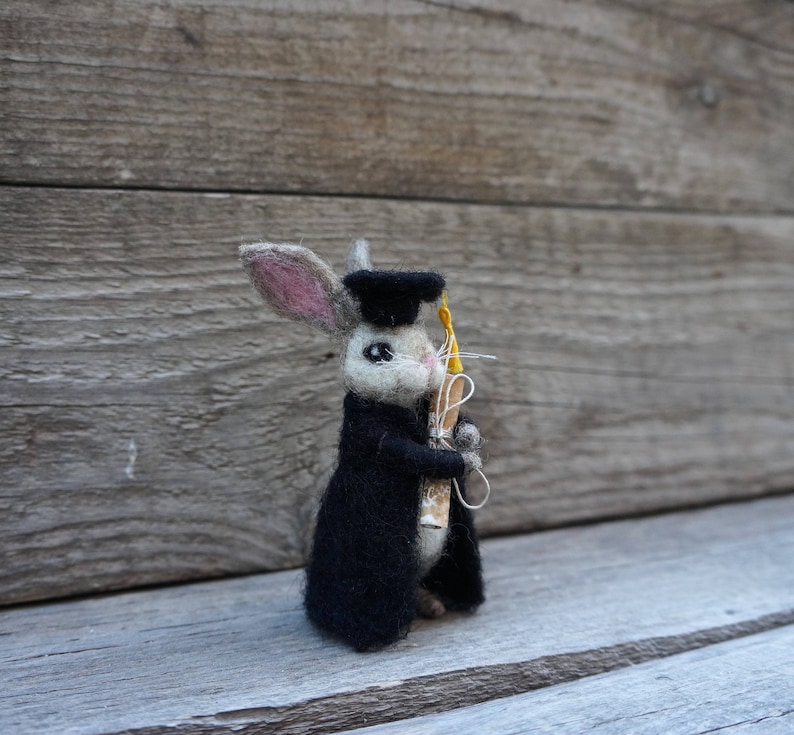 May include: A gray felt rabbit wearing a black graduation cap and gown, holding a rolled up scroll in its paws.