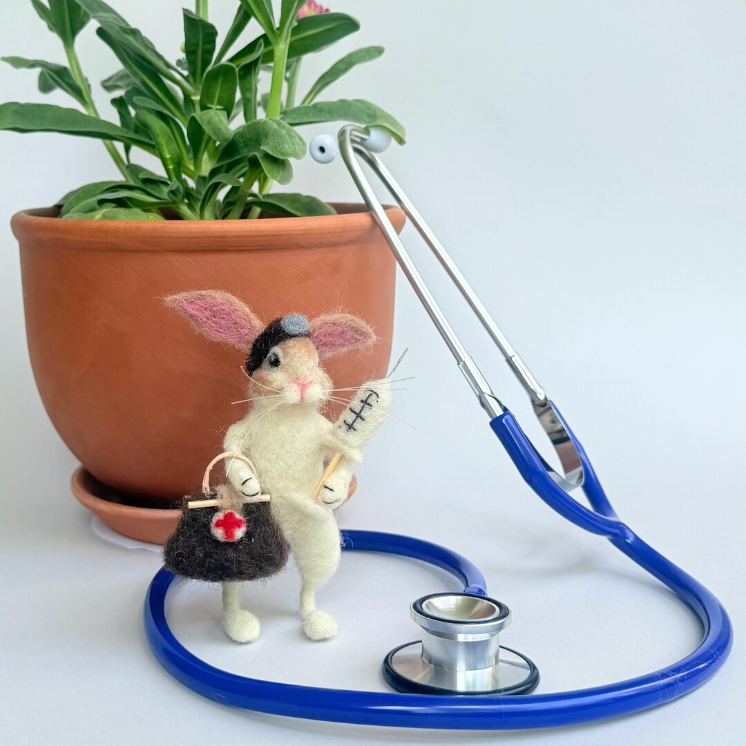 Doctor Bunny - Needle Felted Rabbit Surgeon - Medical Gift - Etsy