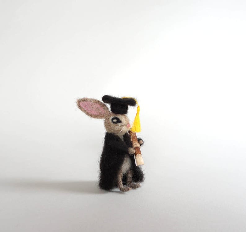May include: A small, brown and white rabbit wearing a black graduation cap and gown, holding a scroll in its paws. The rabbit has a yellow tassel on its cap.