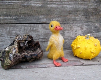 May include: A yellow felt duck with a red beak and orange feet, a yellow gourd with a bumpy texture, and a piece of driftwood on a wooden surface.