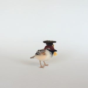 May include: A small, brown and white bird wearing a black graduation cap with a gold tassel. The bird is standing on a white surface.
