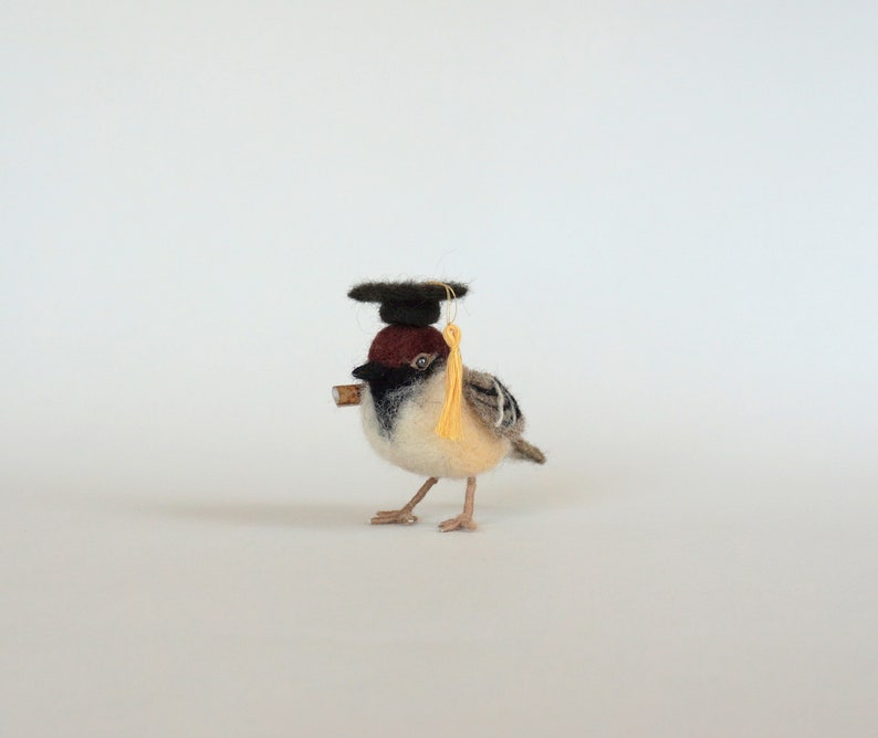 May include: A small, brown and white bird wearing a black graduation cap with a yellow tassel. The bird is holding a small, brown stick in its beak.