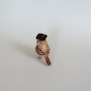 May include: A small brown and white felt bird wearing a black felt graduation cap with a gold tassel. The bird is facing away from the camera.
