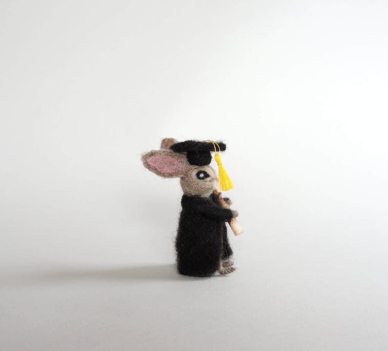 May include: A small, brown rabbit wearing a black graduation cap and gown, holding a scroll in its paws. The cap has a yellow tassel.