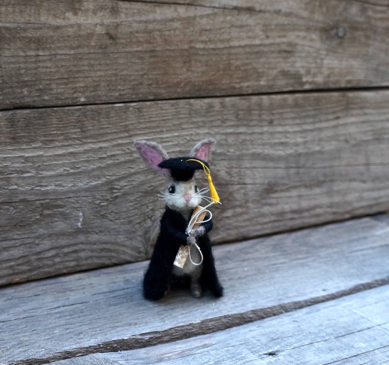 May include: A small, gray and white rabbit wearing a black graduation cap and gown, holding a rolled up scroll in its paws. The rabbit is standing on a wooden surface.