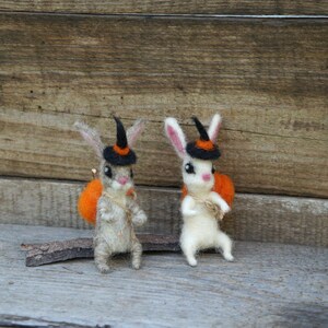 Op de afbeelding: Twee viltkonijnen die toverhoedjes dragen en miniatuurpompoenen dragen. De konijnen zijn grijs en wit en staan op een houten oppervlak.