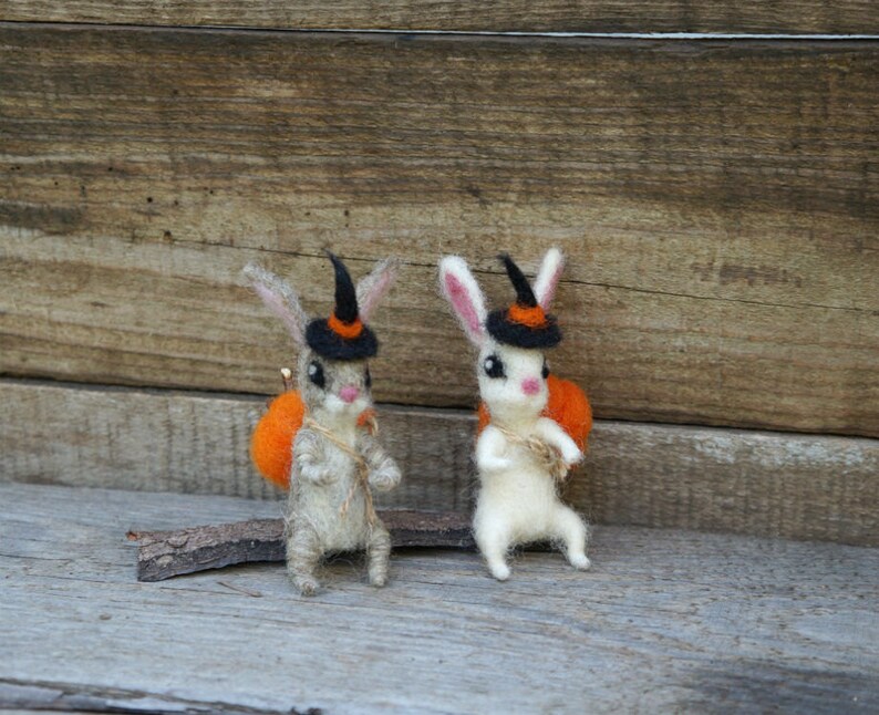 Op de afbeelding: Twee viltkonijnen die toverhoedjes dragen en miniatuurpompoenen dragen. De konijnen zijn grijs en wit en staan op een houten oppervlak.