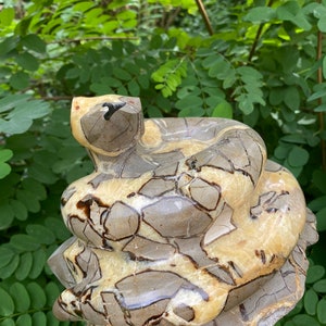 Septarian Hand Crafted Snake - Extremely unusual and unique