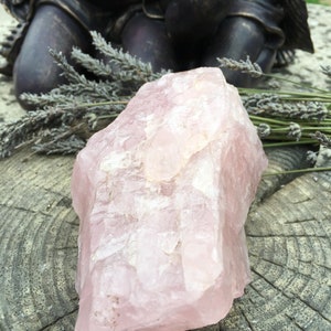May include: A large, rough-cut rose quartz crystal in shades of pale pink. The crystal is displayed with dried lavender sprigs and a dark bronze statue in the background. The crystal's surface has natural variations and a slightly translucent appearance.