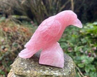 Rose Quartz Raven Extra Large - Hand Carved - Love, Healing, Compassion, Protection, Altar Decor