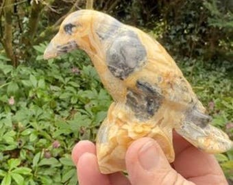 Crazy Lace Agate Crystal Raven