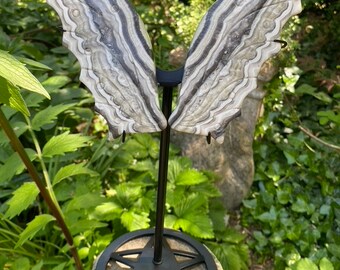 Zebra Jasper Dragonfly Wings With Contrasting Pentagram Stand