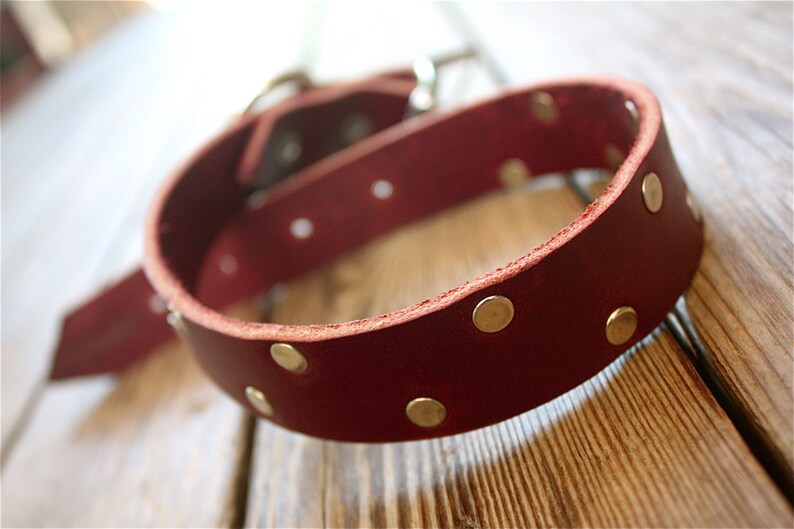 Handmade Leather Collar With Stainless Detailing Etsy