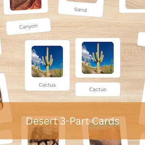 Op de afbeelding: Educatieve Desert 3-Part Cards met afbeeldingen van een canyon, cactus en zand. De kaarten hebben witte randen en labels. De tekst "Desert 3-Part Cards" wordt weergegeven in een oranje banner.