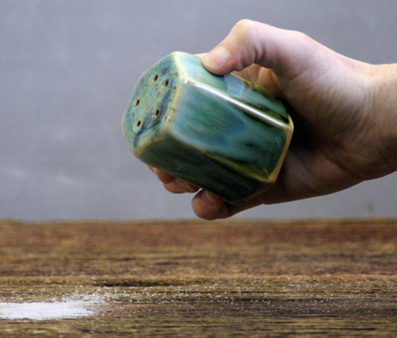 Stoneware pottery Salt and Pepper Shaker set Rainbow Trout Short image 6