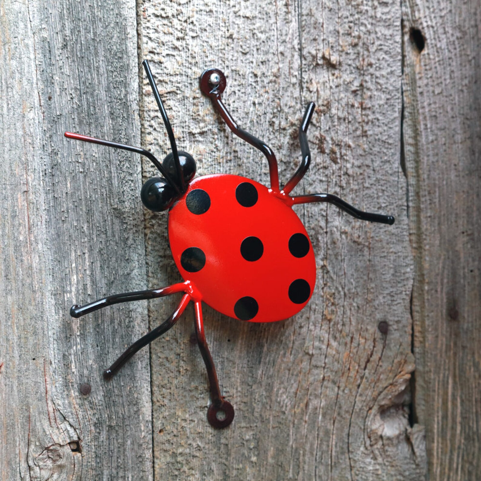 Wall Mounted Ladybug Metal Wall Decor Metal Wall Arts Metal Etsy Canada