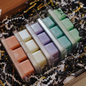 Fragrance Wax Melts | Summer Collection 5 Pack