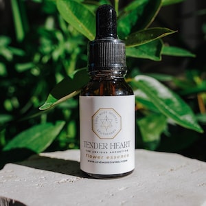 May include: A dark amber glass dropper bottle with a white label featuring the text Love More Divinely Apothecary, Tender Heart, The Anxious Archetype, Flower Essence, and the website URL www.lovemoredivinely.com, topped with a black dropper cap.