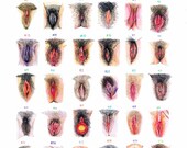 Linwood recommends best of Shaven vagina ideas Blog bukkake picture