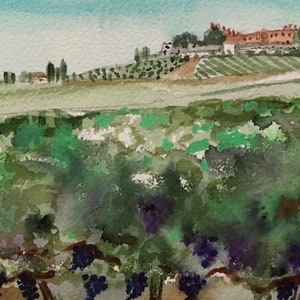 Brolio vineyards, Gaiole in Chianti, watercolour