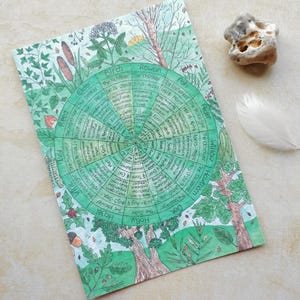 The Celtic Tree Calendar Art Print
