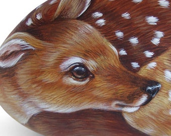 Sweet Fawn Painted on A Sea Stone | Rock Painting Art by Roberto Rizzo