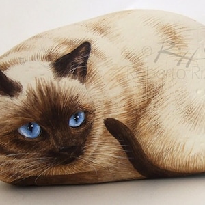 Irresistible Siamese Cat Painted on A Sea Stone | Rock Art by Roberto Rizzo | Painted Rock Cats | Cat Painting Stone | Pebble Art in Acrylic