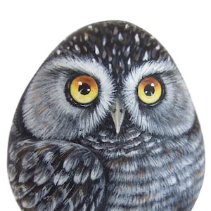 Original Hand Painted Northern Hawk Owl Rock (Surnia Ulula) Hand Painted On a Sea Rockl Unique Painted Stone by Roberto Rizzo