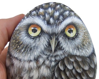 Little Owl Hand Painted On a Smooth Sea Rock! A Stunning Piece for All of You, Owl Lovers!