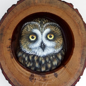Può includere: Un ritratto di gufo dipinto incorniciato in una fetta di tronco d'albero di legno. Il gufo ha piume marroni e bianche e occhi gialli. La firma dell'artista è visibile nella parte inferiore della cornice.