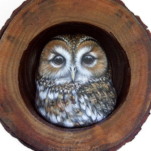 Tawny Owl Nest | A Fantastic Lucky Charm to Decorate your Home and a Unique Gift Idea for Owl Lovers! Painted Owls by Roberto Rizzo